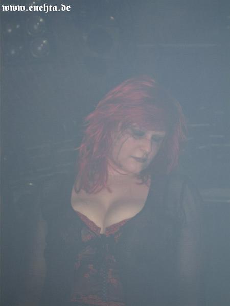 Lame Immotrelle vom 20.02.2008-014.jpg